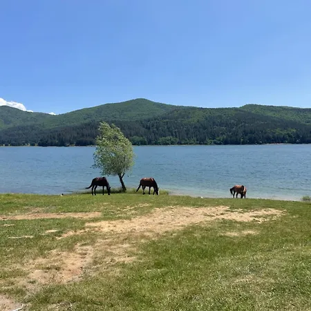 Casa Tommaso * Camigliatello Silano