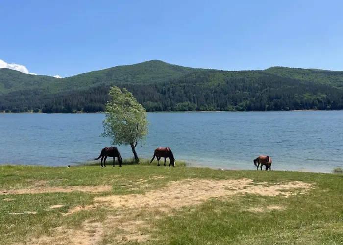 Casa Tommaso * Camigliatello Silano